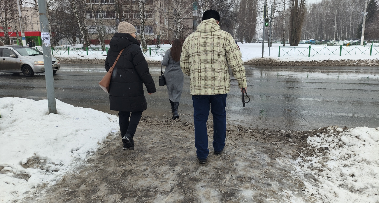 Зимы не будет: Вильфанд предсказал аномально теплый декабрь в центре России