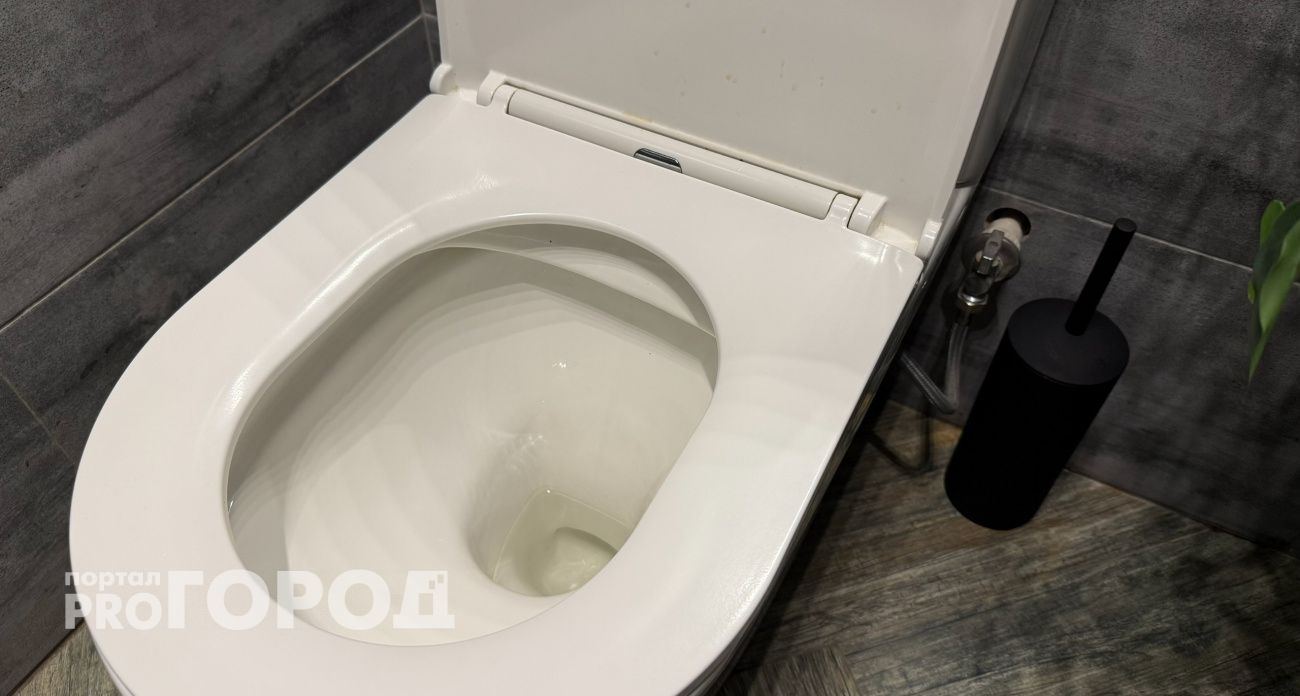 Почему нельзя держать крышку унитаза открытой: запомните раз и навсегда 