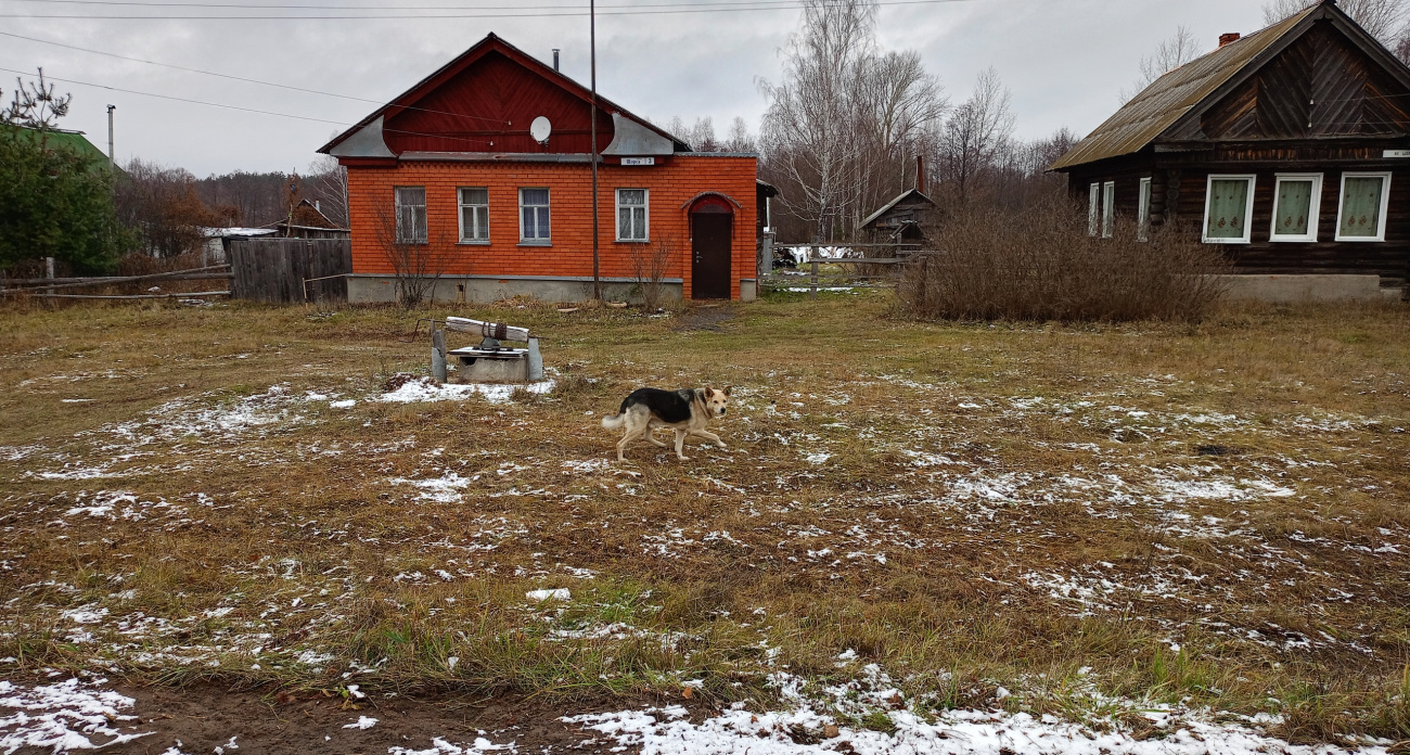 С первым снегом покупаю 3 литра уксуса и не мучаюсь: секрет подсказал старичок из деревни - в доме тишина до весны