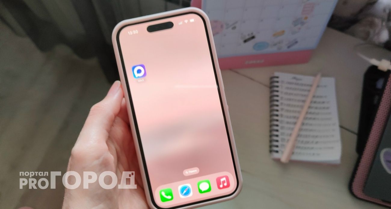 Нижегородцы начали получать уведомления от "Госуслуг" в MAX