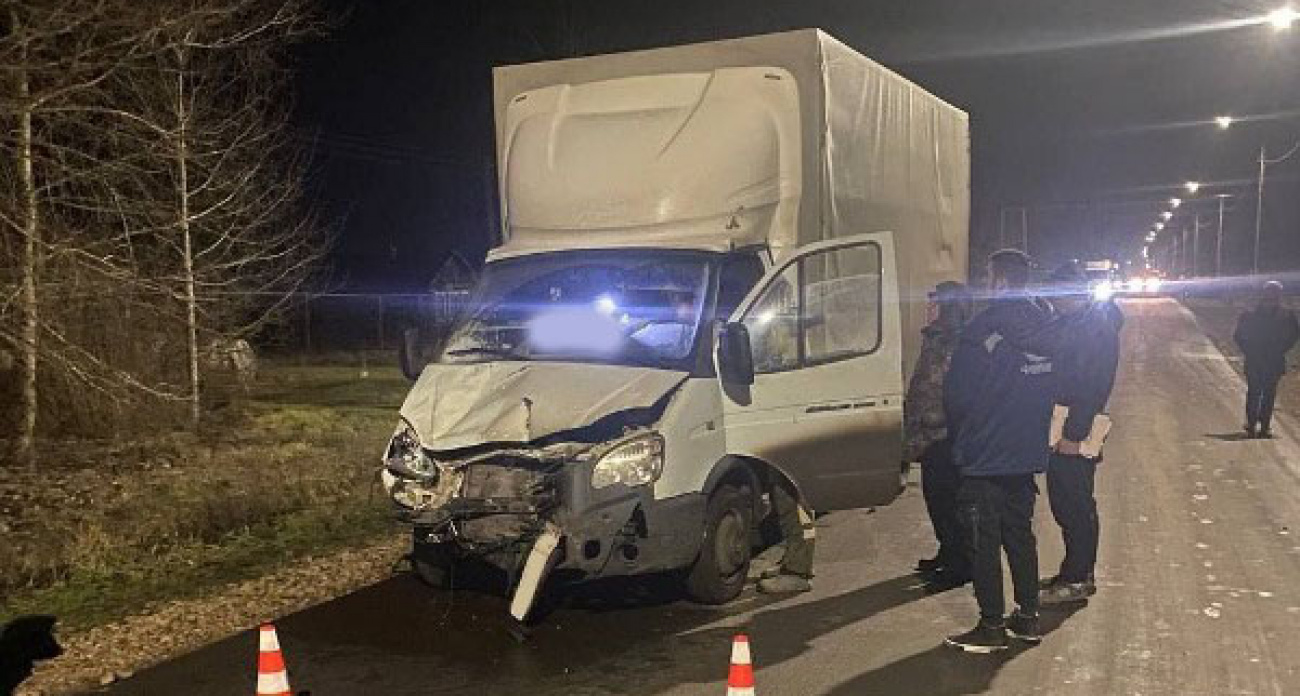 На водителя грузовика завели уголовное дело после ДТП в Большеболдинском районе