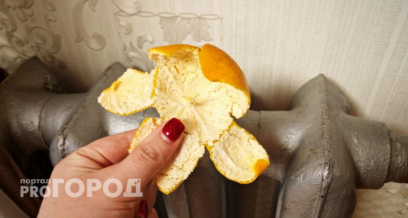 С приходом холодов кидаю мандариновую кожуру на батареи — и живу без бед: вся семья чувствует эффект