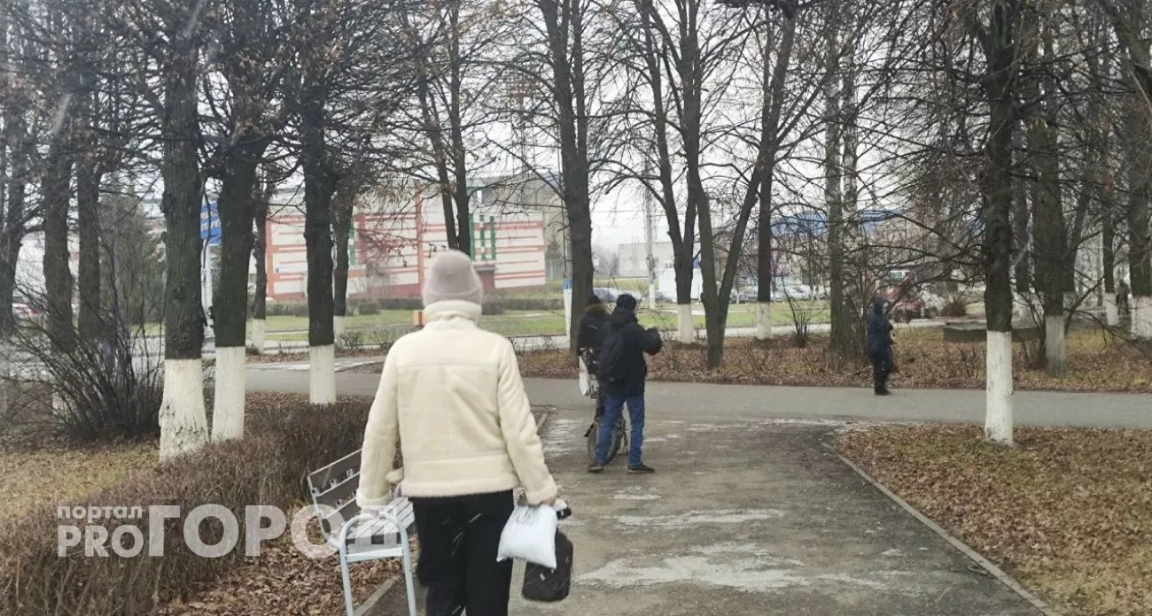 Мать забыла о сыне и попала на 2 миллиона, приговор водителю автобуса после ДТП - главные новости за 5 декабря в Нижнем Новгороде