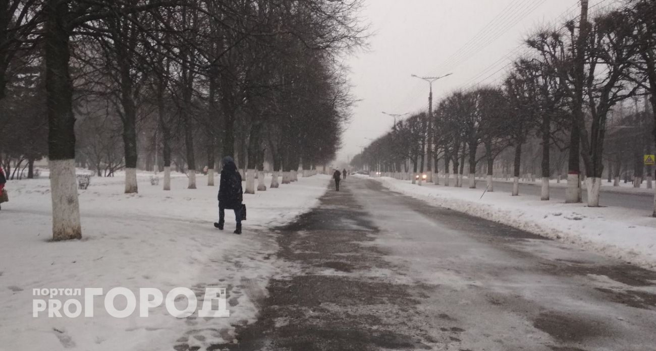 Середина недели подкинет нижегородцам ветра и мокрый снег в лицо