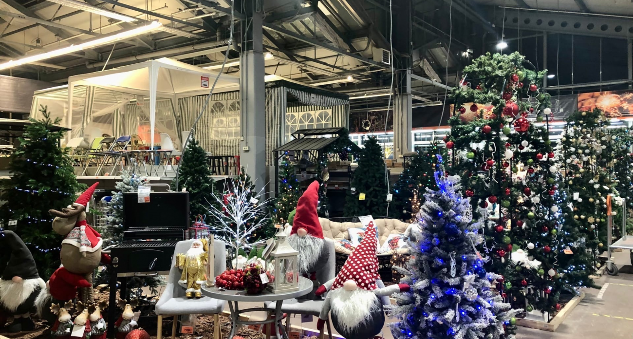 Живая или искусственная: как выбрать правильную ель и не пожалеть потом