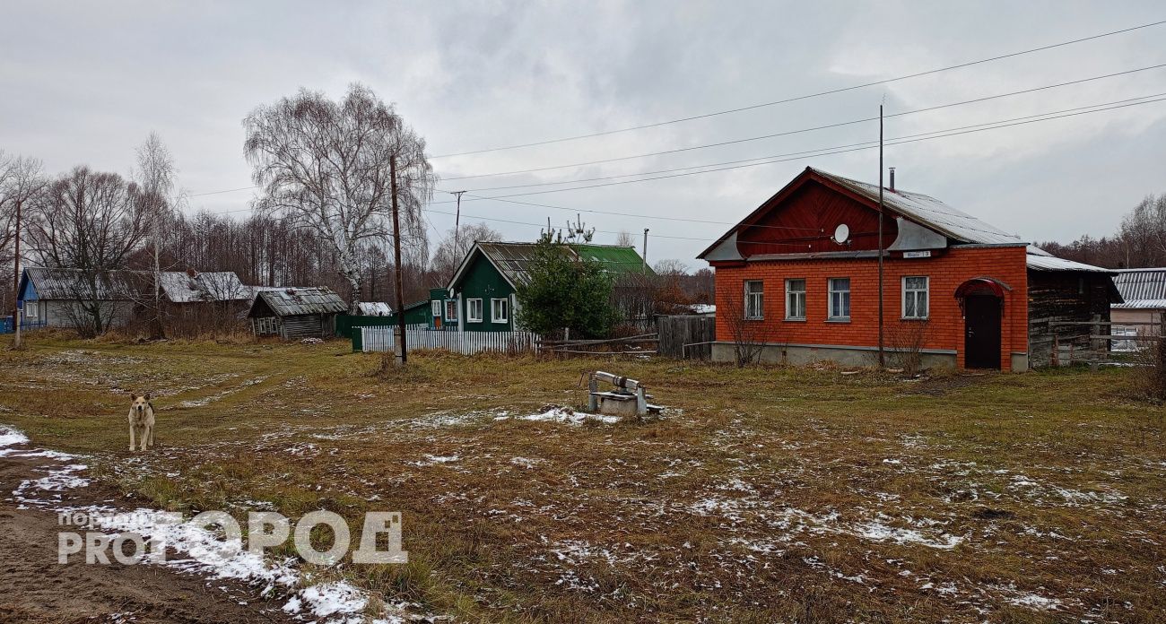 Теперь под запретом: владельцы дач и земель лишаться собственности - новые правила 