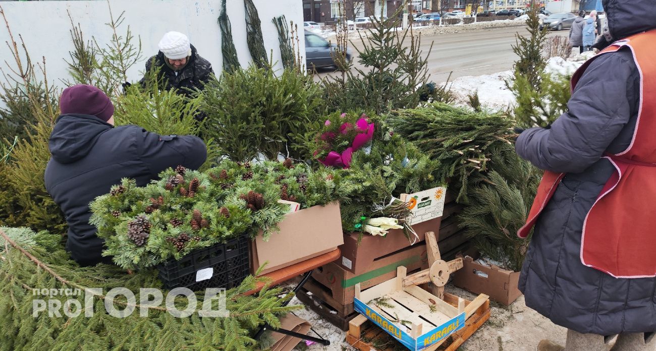 Нижегородка осталась без праздничного настроения и новогодней елки за 12 тысяч