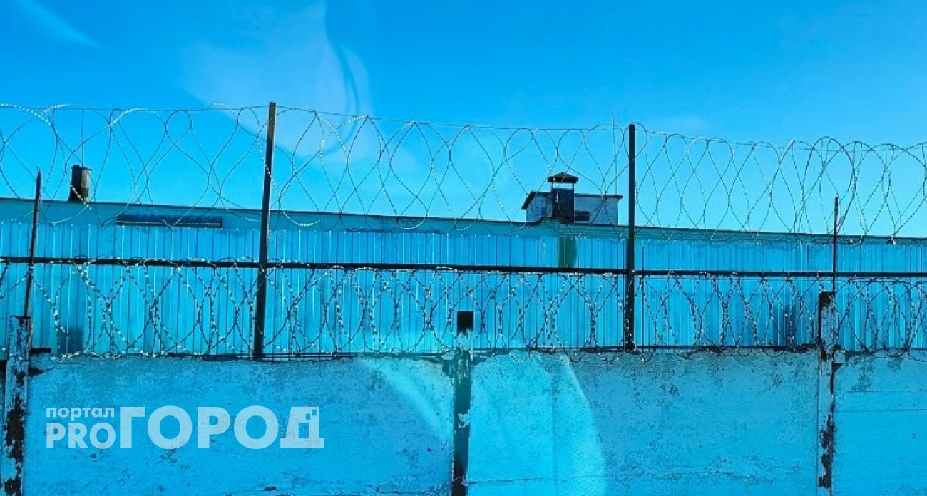 Осужденные Нижегородской области встретят Новый год с "Цезарем", пиццей и кинопоказами
