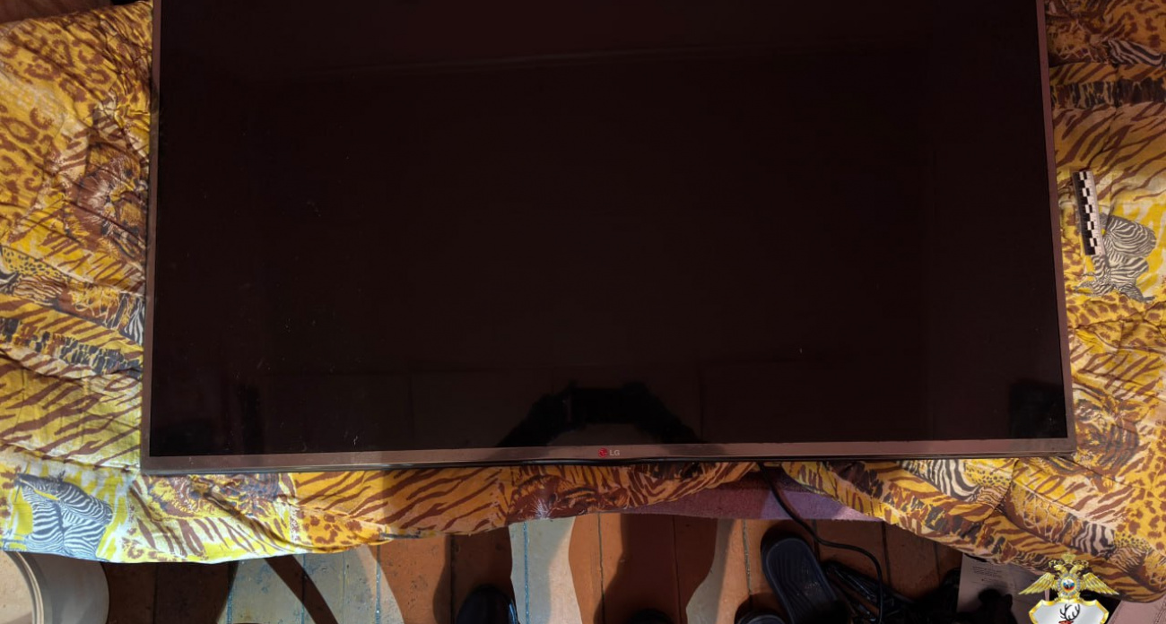 Пенсионер из Перевозского района залез в дом, который должны снести, и вынес оттуда телевизор