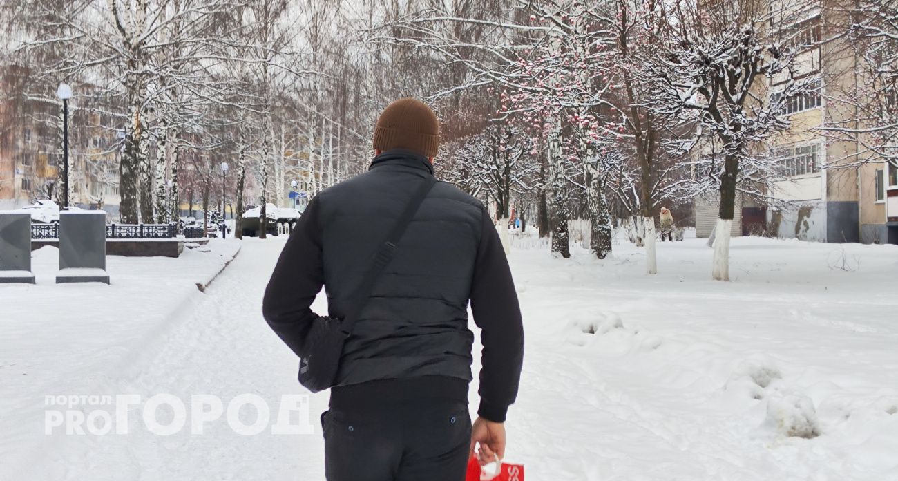 Настоящая зима возвращается: где россияне встретят Новый год с сугробами