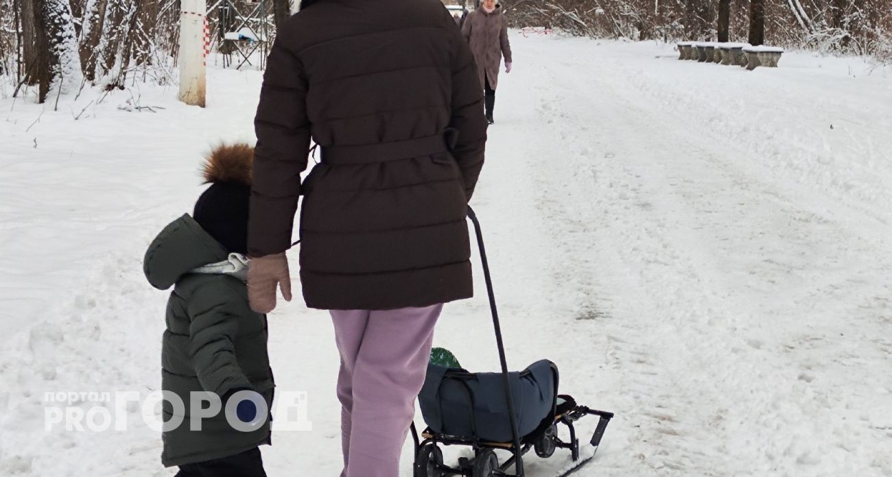 Многодетную маму из Богородска "выкинули" из очереди на получение льготной земли