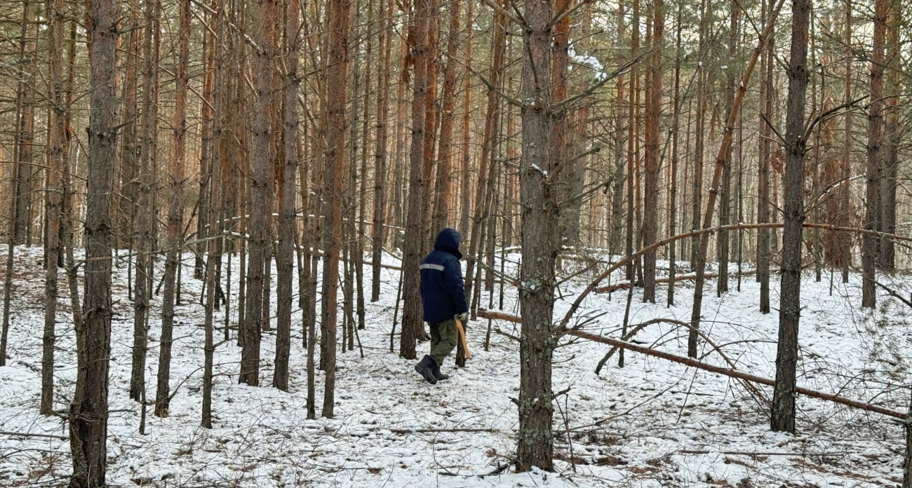 Поставил дома новогоднюю елку — готовься к суду и штрафу до 300 тысяч рублей: россиян предупредили