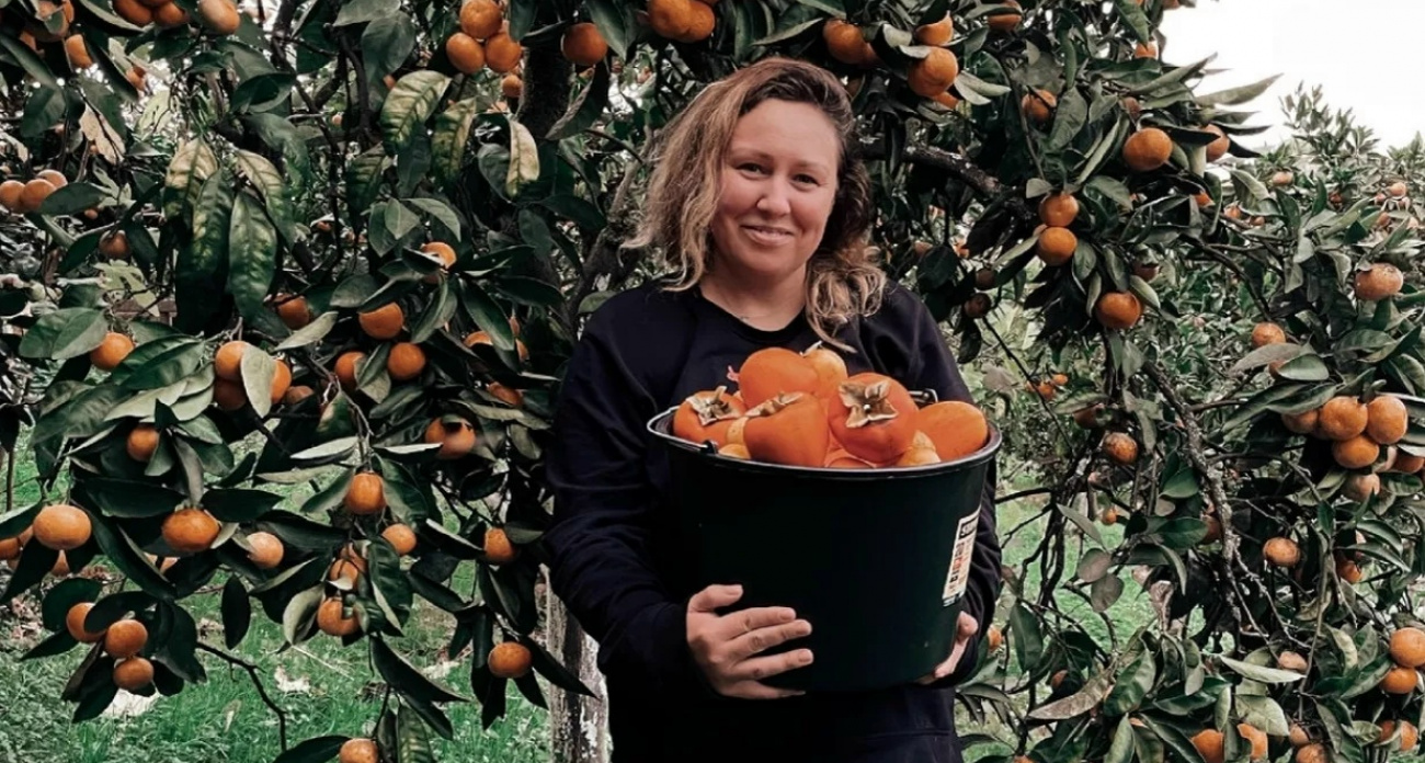 Съездила на сбор хурмы и мандаринов в Абхазию: не ожидала такого заработка - реальный опыт работы