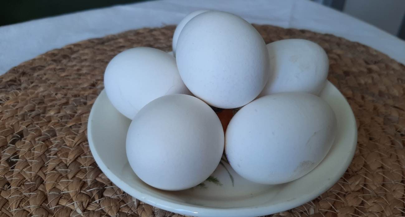 Почему работники магазинов и птицефабрик не берут яйца С0 даже по скидке - ответ проще, чем кажется