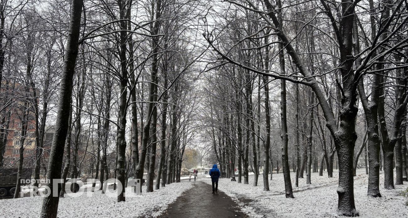 Под конец рабочей недели в Нижегородскую область придут дождь и мокрый снег
