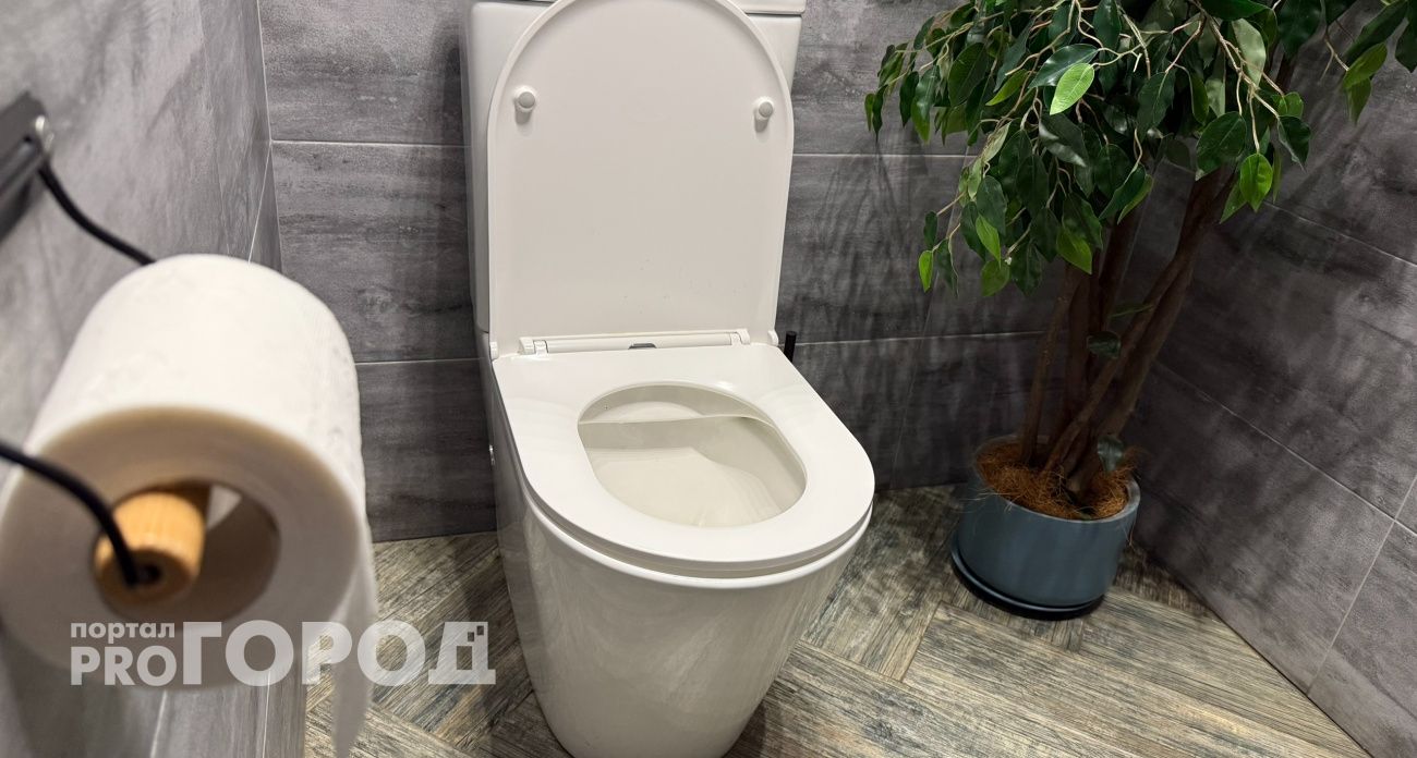 Зачем японцы садятся на унитаз лицом вперед: это не шутка — причина поражает