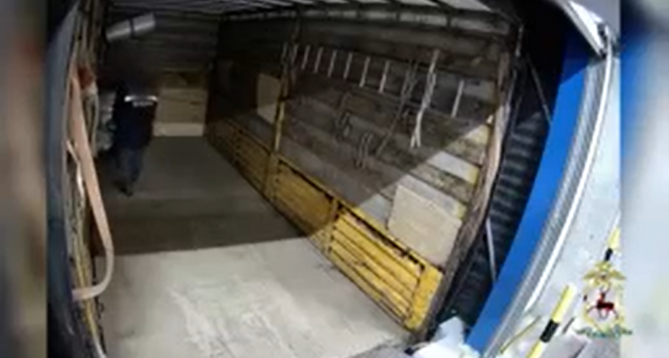 В Нижнем Новгороде задержали двух мужчин по делу о краже почти 1000 ноутбуков и телевизоров на 98 миллионов