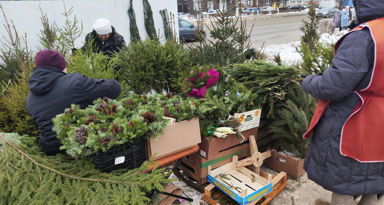 Елочные клещи атаковали россиян: как защитить дом перед Новым годом