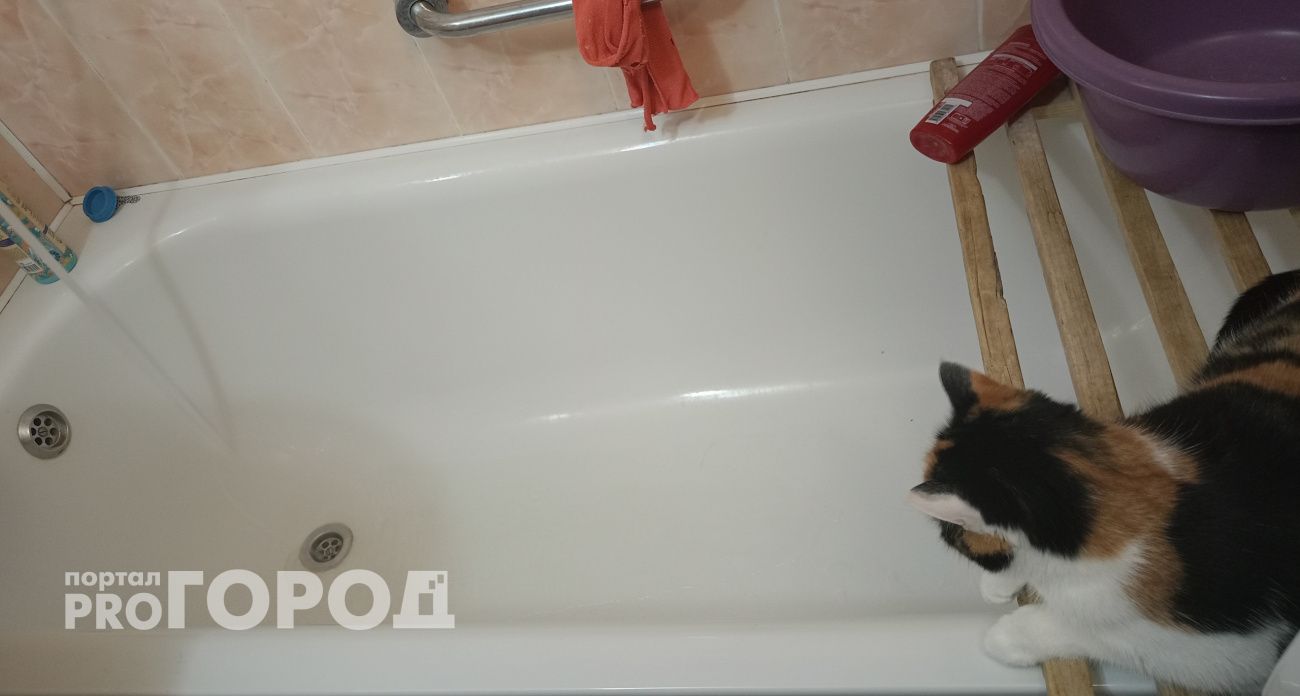 Ни налёта, ни ржавчины: всего 4 ложки на губку — и ванна блестит, как новая