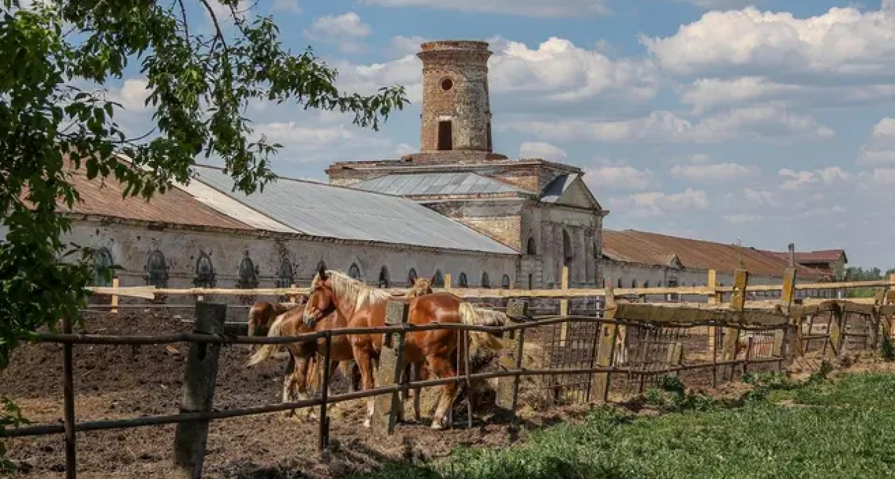 Фуры с приставами пытались вывезти лошадей из старейшего завода области
