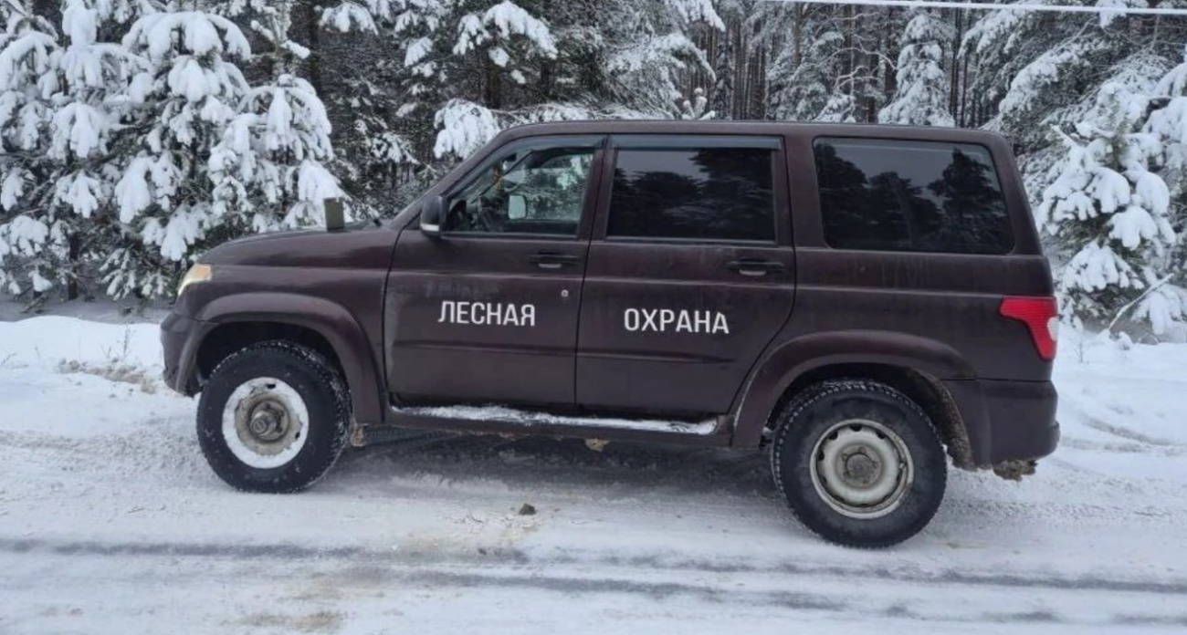 В Выксунском районе задержали похитителя новогодней елки