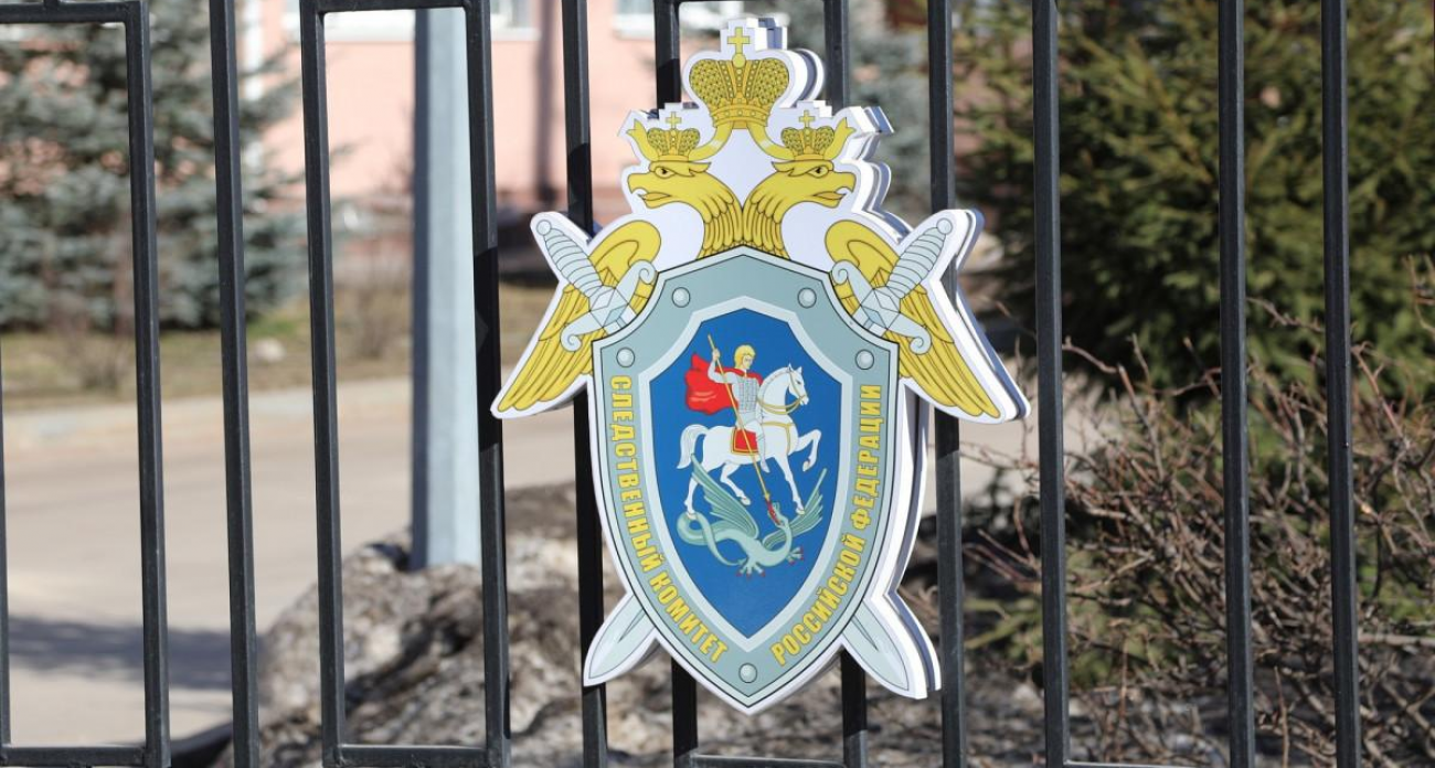 Бастрыкин потребовал доклад о массовой вырубке лесов и сжигании покрышек в Нижегородской области