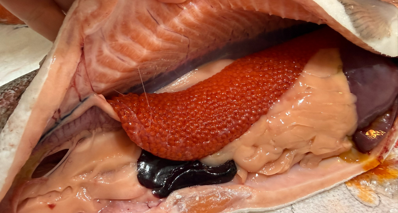 Красная икра на Новый год: как по‑простому отличить натуральную от имитированной и структурированной