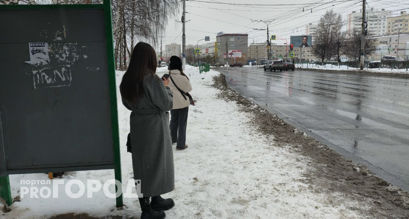 Трудоустройство дизайнером закончилось для молодой жительницы Городца денежными потерями