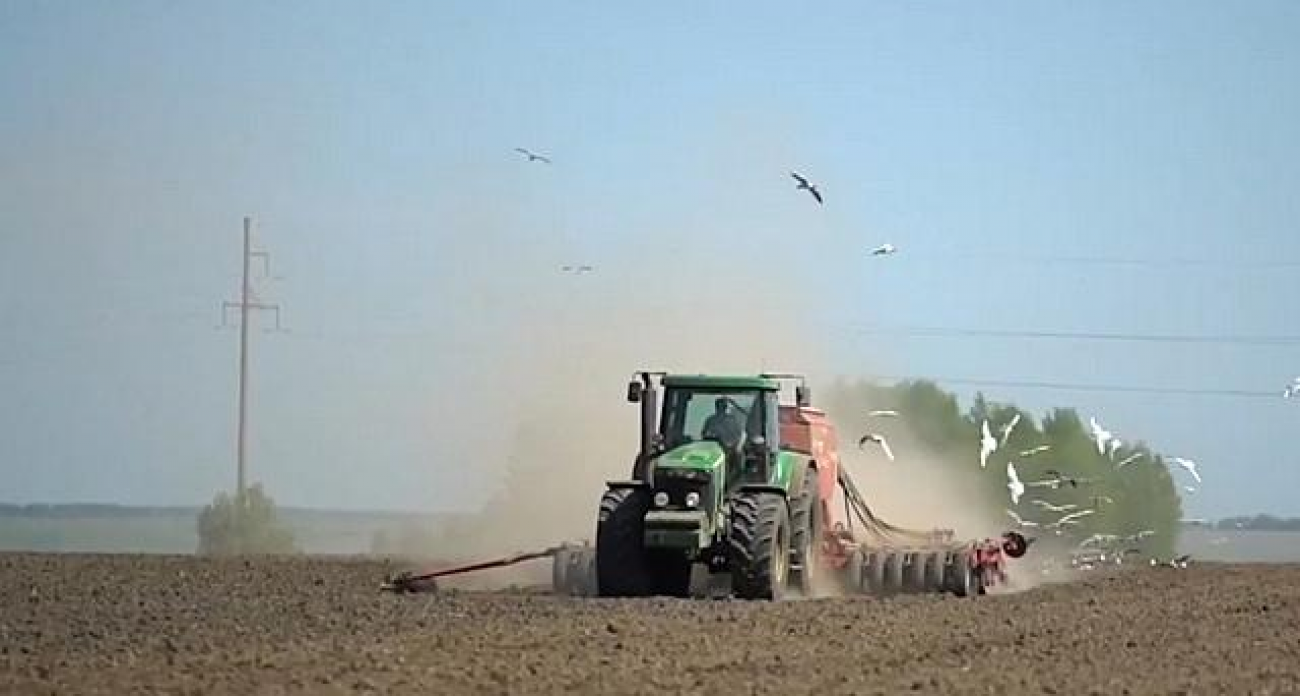 35,5 млн рублей компенсаций: нижегородские фермеры вернули к жизни 8 тысяч гектаров заброшенных земель