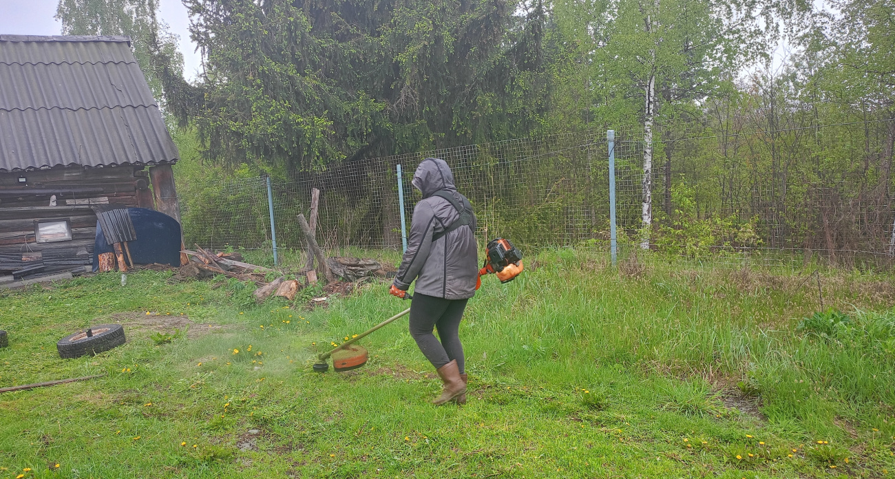 Чем обернется снежная зима 2026 для садоводов: реальные последствия метелей для урожая