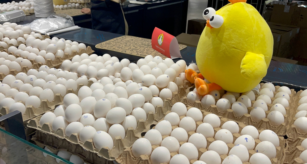 Хитрые продавцы выбирают себе яйца домой только как: запомните 2 лайфхака