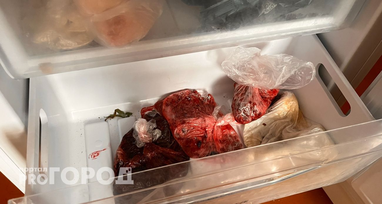 Ошибка хозяйки: эти 7 фруктов и овощей нельзя замораживать – пропадут зря