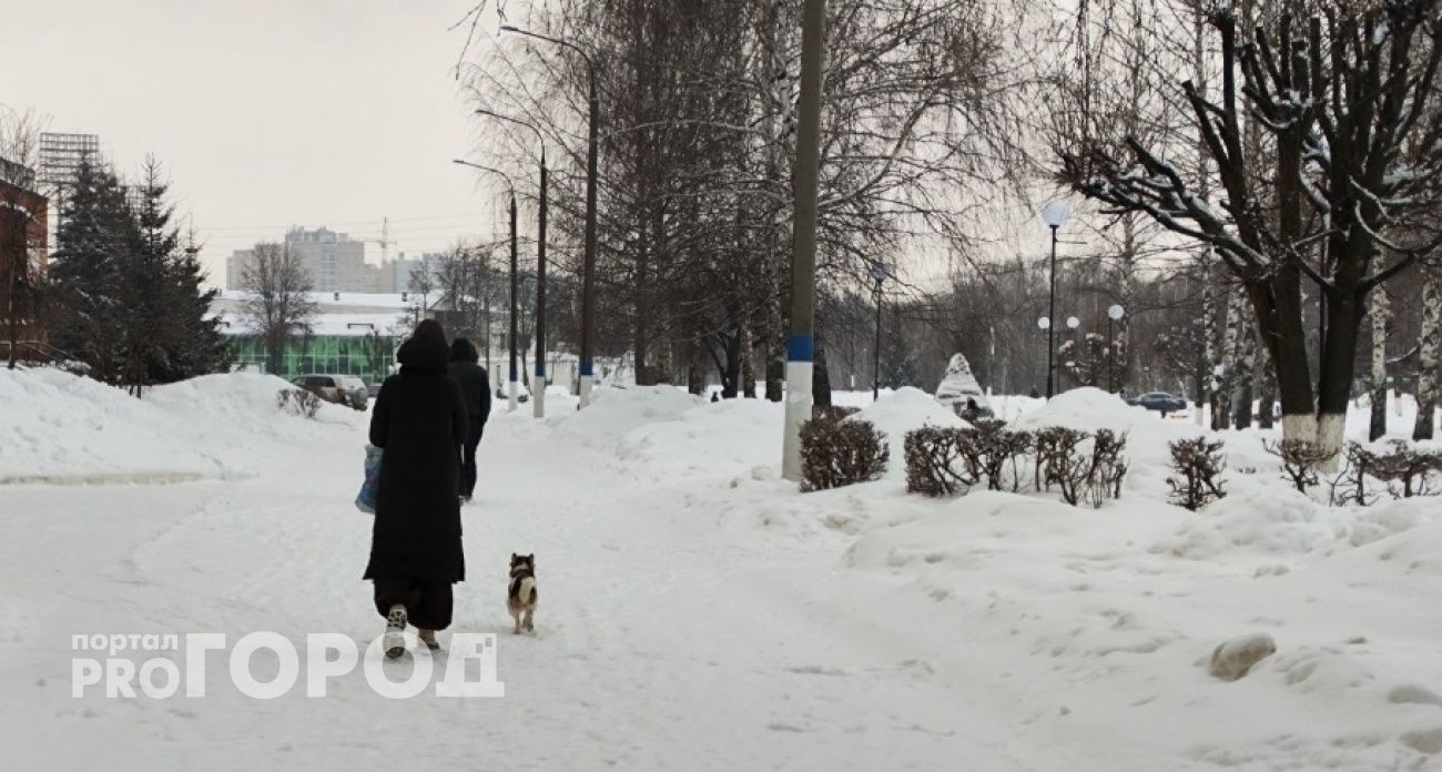 Молодая жительница Шахуньи осталась без денег и машины, пообщавшись с незнакомцами