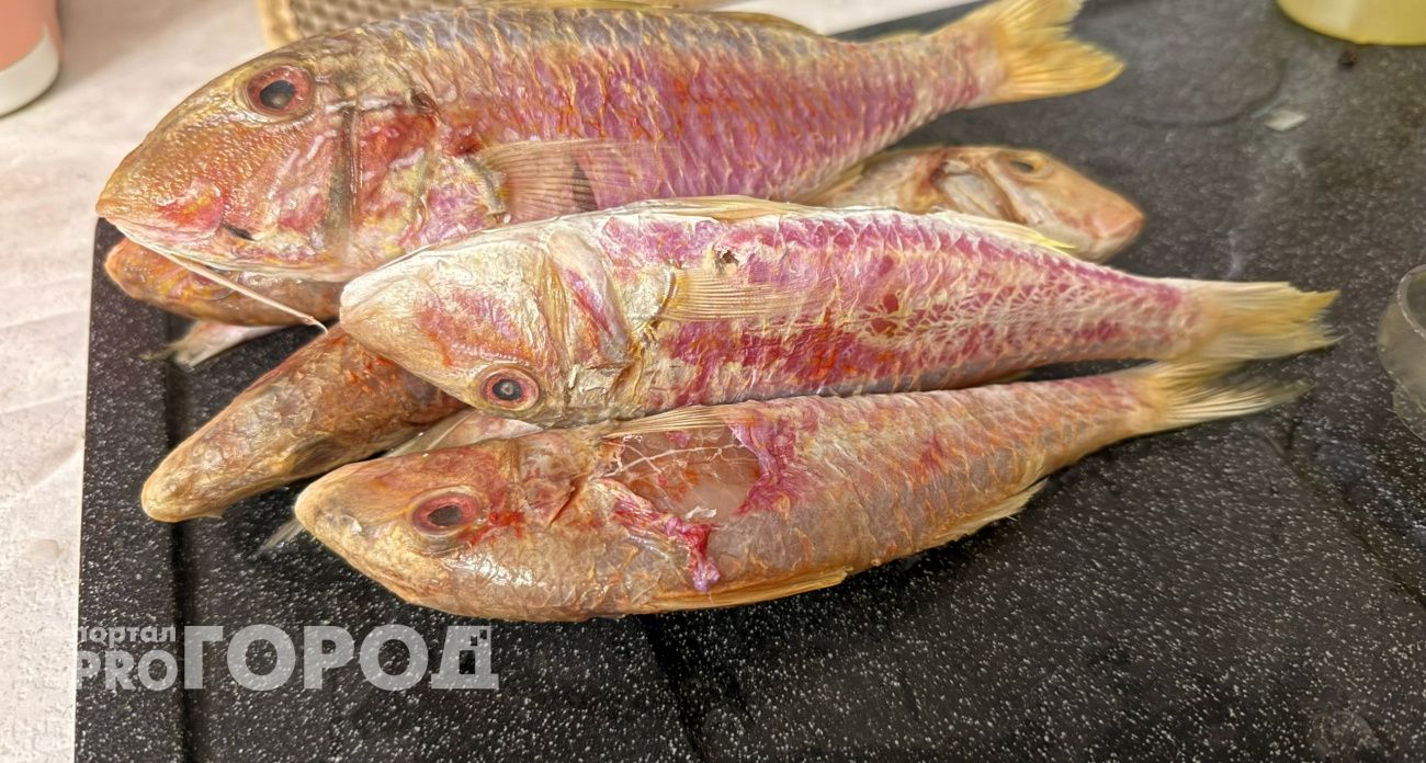 Названа самая полезная для человека рыба — ешьте дважды в неделю. Богата селеном, фосфором и хороша 