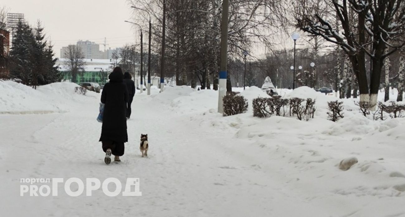Жительница Нижегородской области нашла в себе силы встать на путь исправления и вернуть детей из детдома