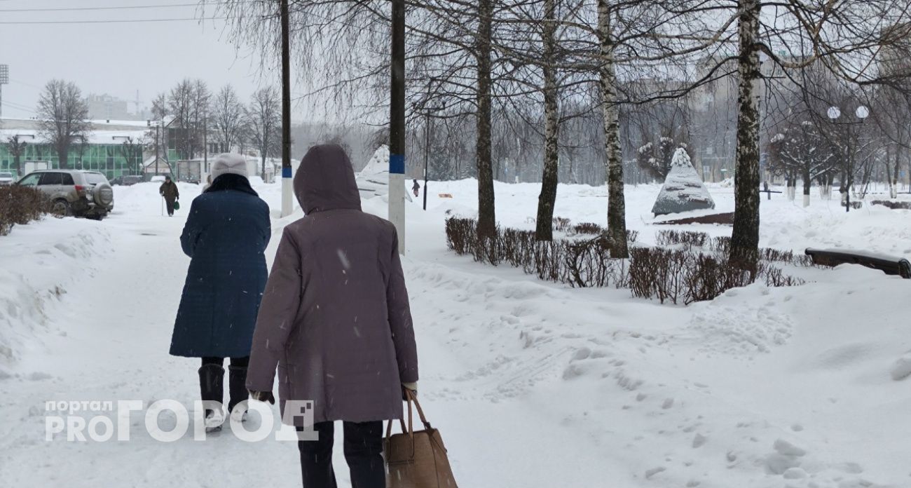 Новогоднее поздравление обернулось для жительницы Бора потерей почти 400 тысяч рублей