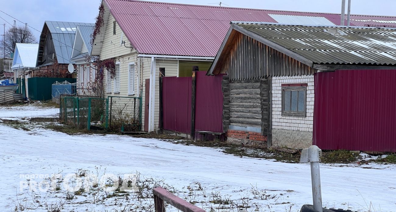 Переехали в деревню – и поняли, почему там больше не живут сельским хозяйством: честный рассказ 