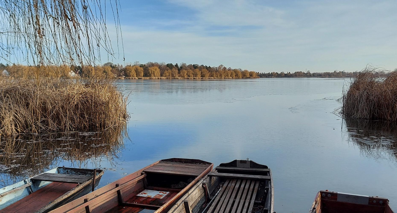 Капитан без допуска: переправу через Волгу закрыли после проверки «Спутника-1» на маршруте Лысково — Макарьево