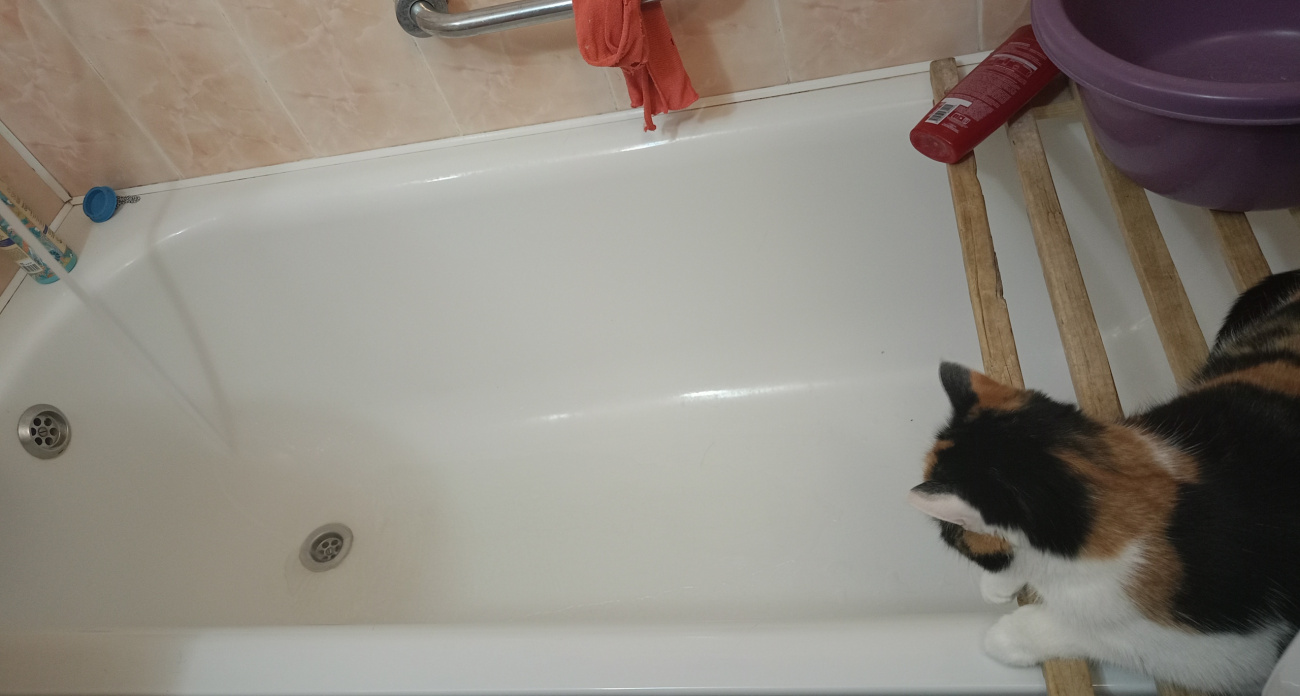 Ванны и душ ушли в прошлое: в США и Европе давно нашли современную альтернативу, а мы до сих пор страдаем