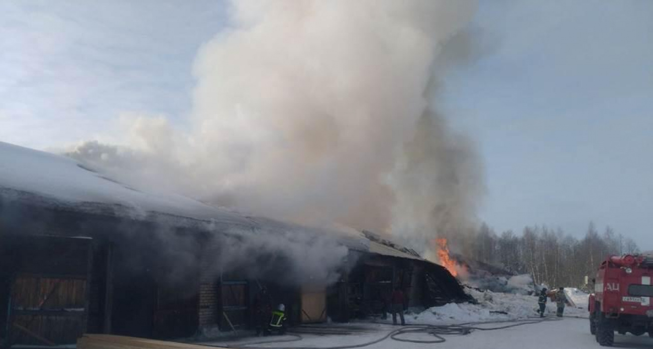 Крупный пожар произошел на пилораме в Тонкино