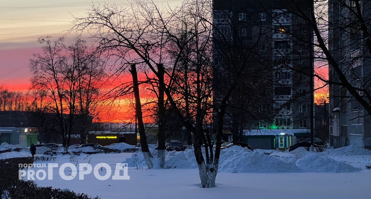 Аномальная погода в разных регионах России: Вильфанд предрек «зимнюю жару»
