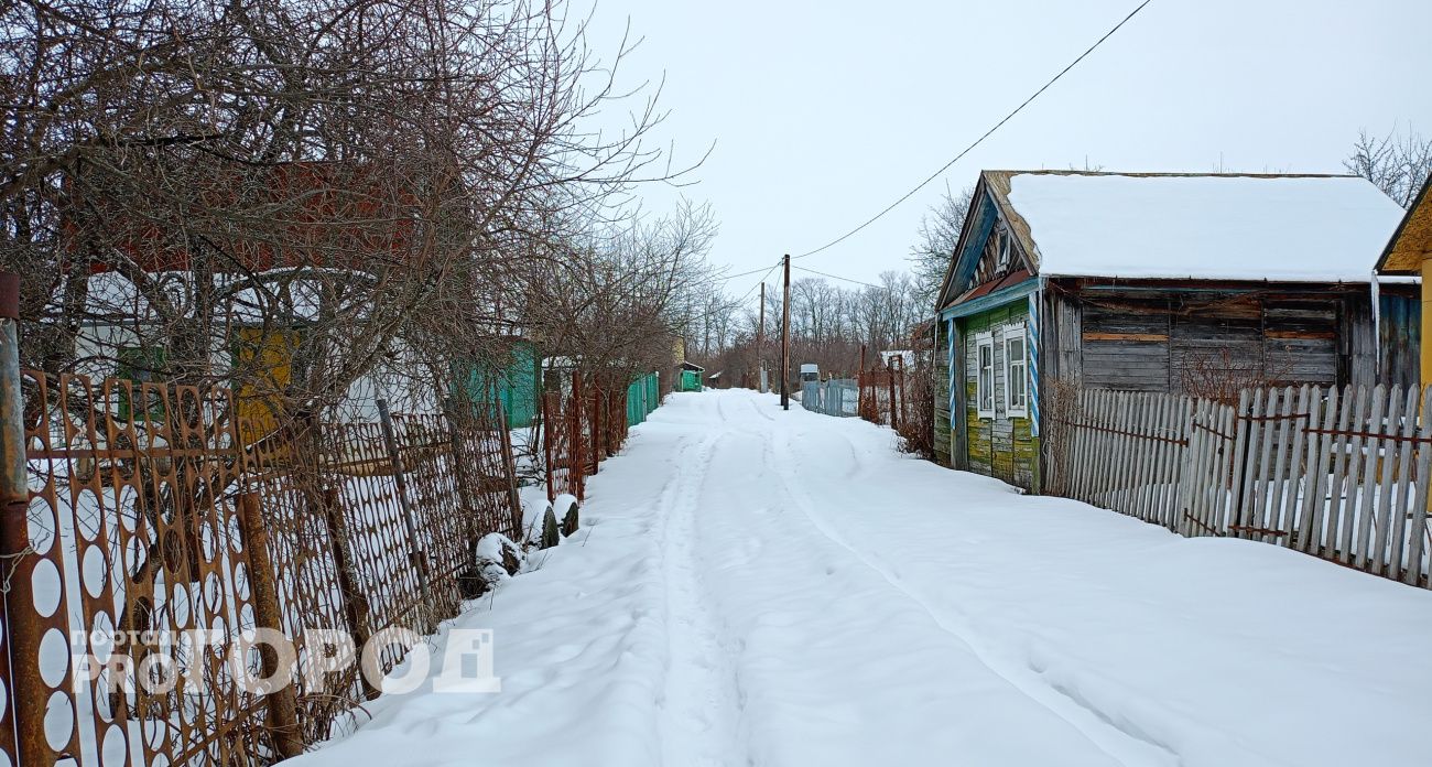 Купил дом в глухой деревне – три года жил счастливо, а потом понял, в чём ошибся 