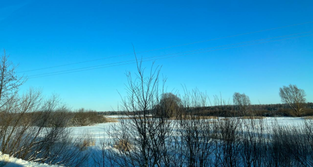 Пассажиры 3 км шли по рельсам в -23°: прокуратура проверяет ЧП с остановившимся поездом в Нижегородской области