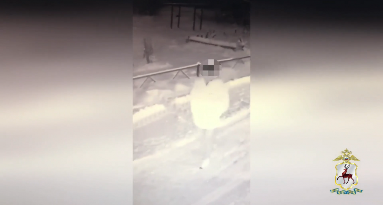 В Арзамасе поймали мошенника-рецидивиста, который пытался изменить внешность