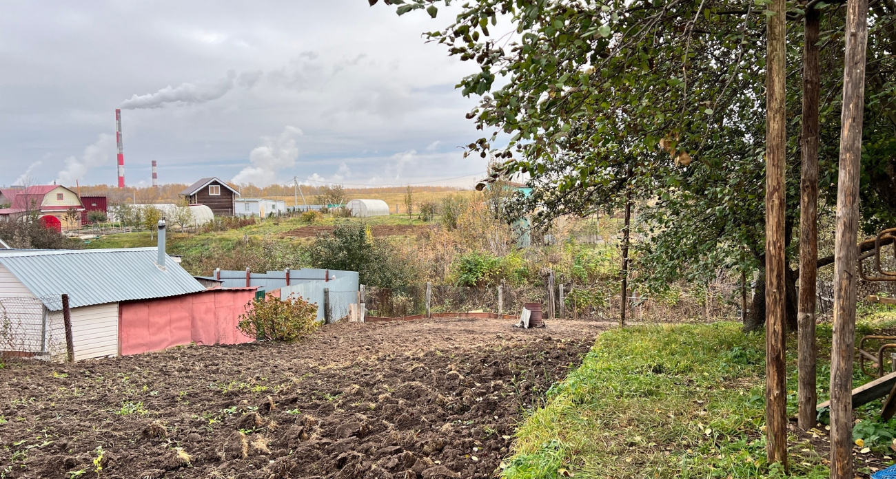 Чем обернется лето 2026 после аномальной зимы: эксперты ответили, к чему готовиться садоводам и дачникам