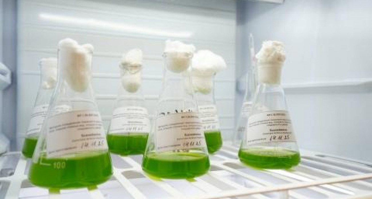 Экологическая проверка: 1100 нижегородских предприятий проверили на тайные сливы, превысив план в 20 раз