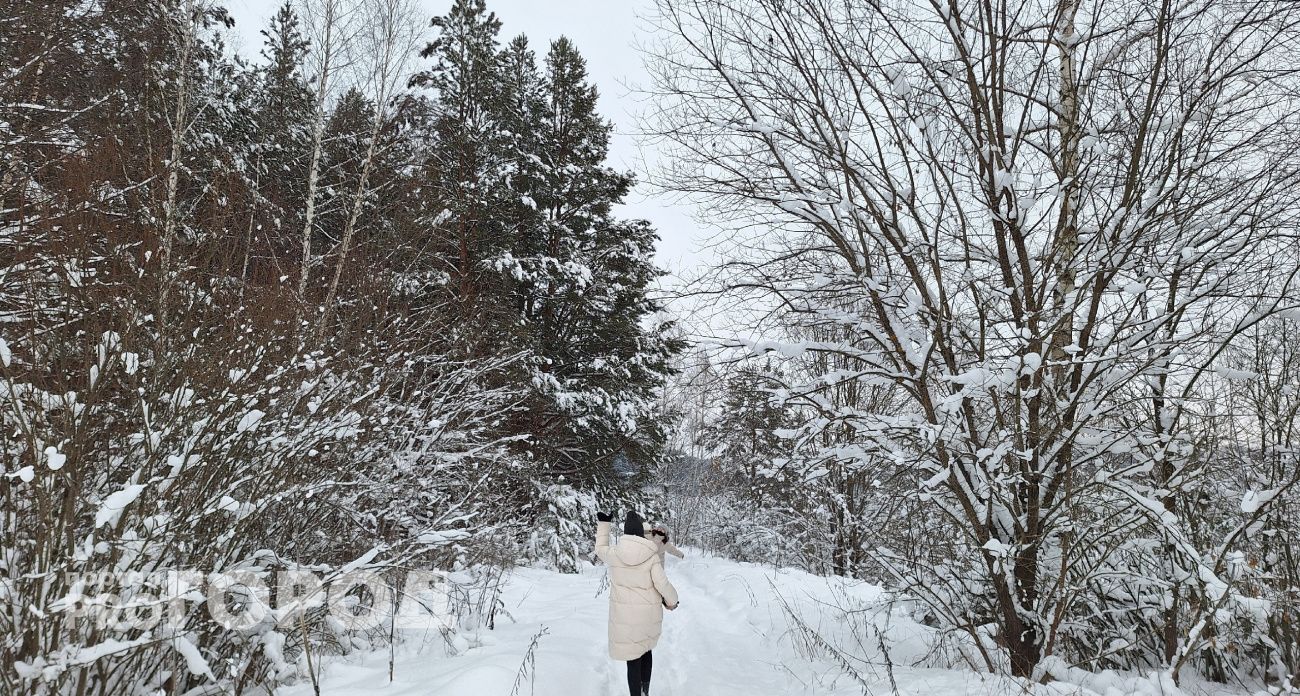 Резкое потепление до -2 придет в Нижегородскую область уже завтра