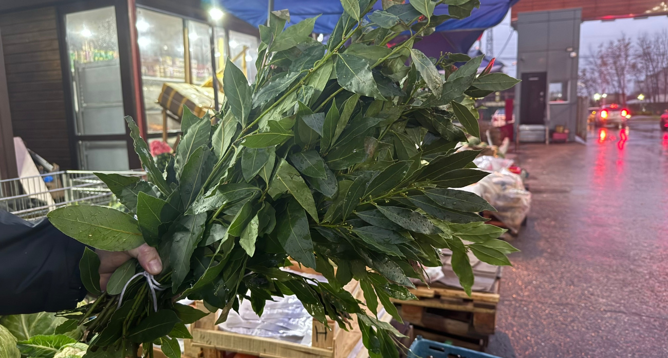 Теперь всегда варю лавровый лист перед генеральной уборкой: свекровь подсказала маленькую хитрость