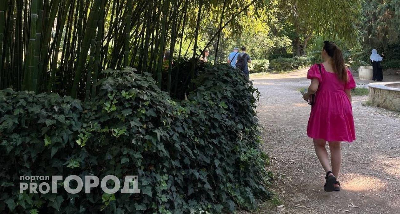 «Злые люди, змеи и сплошная грязь»: туристы честно признаются, почему больше не поедут в Абхазию