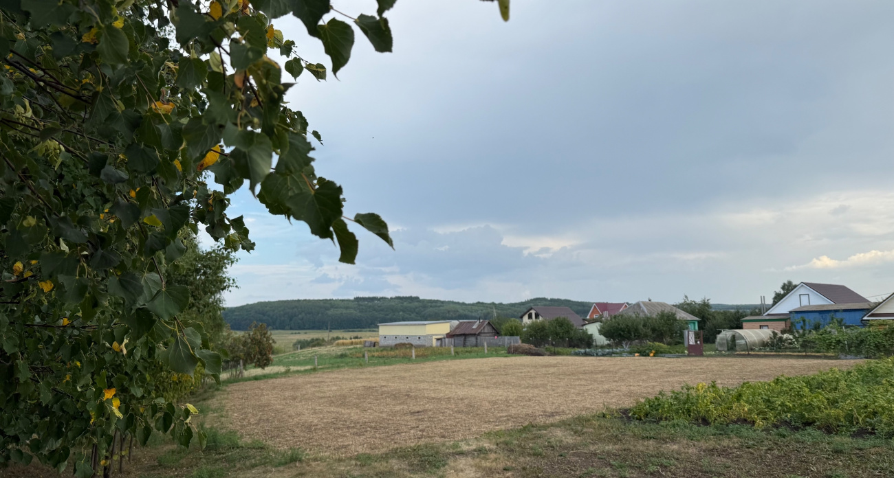 Не навоз и не компост: самый быстрый и полезный способ восстановить почву за один сезон